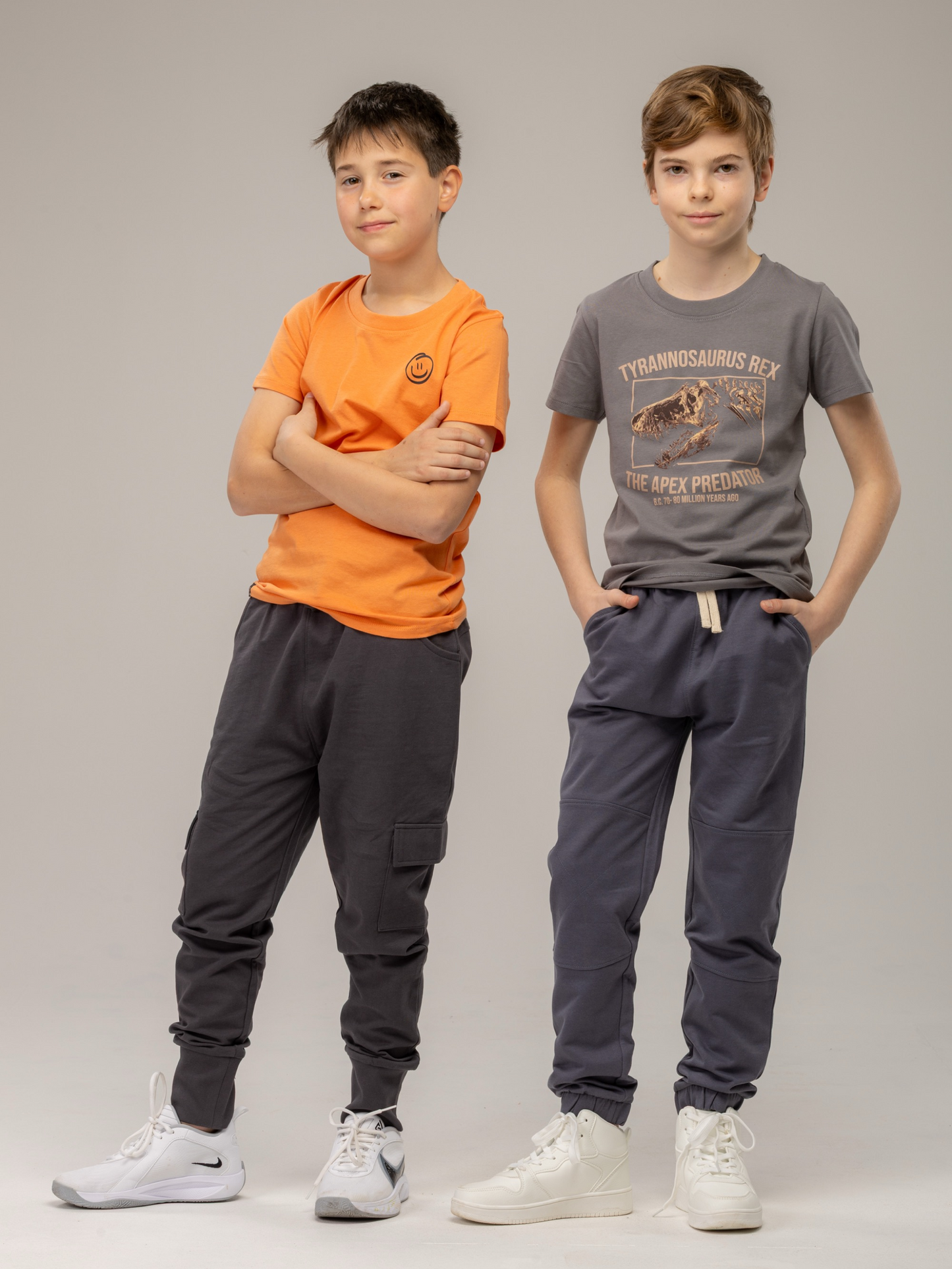 Gargoyle Grey T-Rex | Fantovska majica s kratkimi rokavi - Lucky Kiddo SI