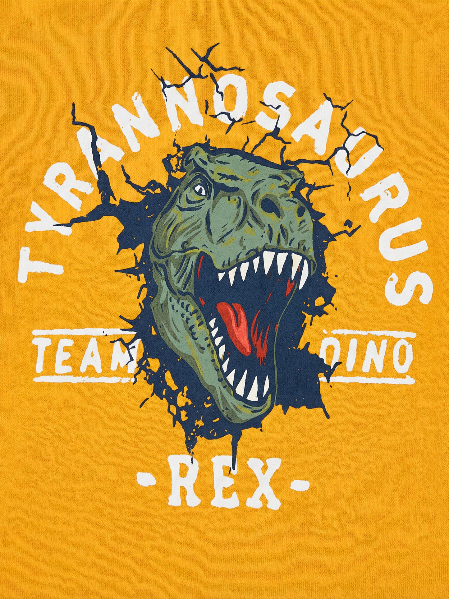 Rex Scout | Komplet za fante