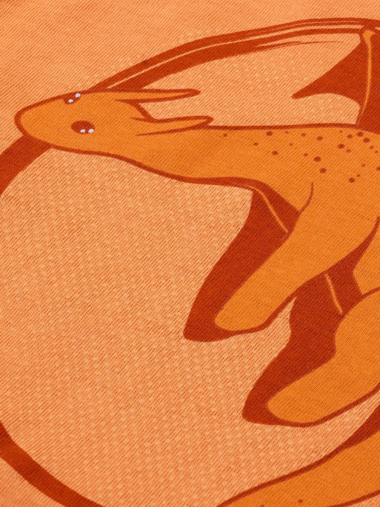 Majica z dolgimi rokavi Cotton Tan Flying Dino - Lucky Kiddo SI