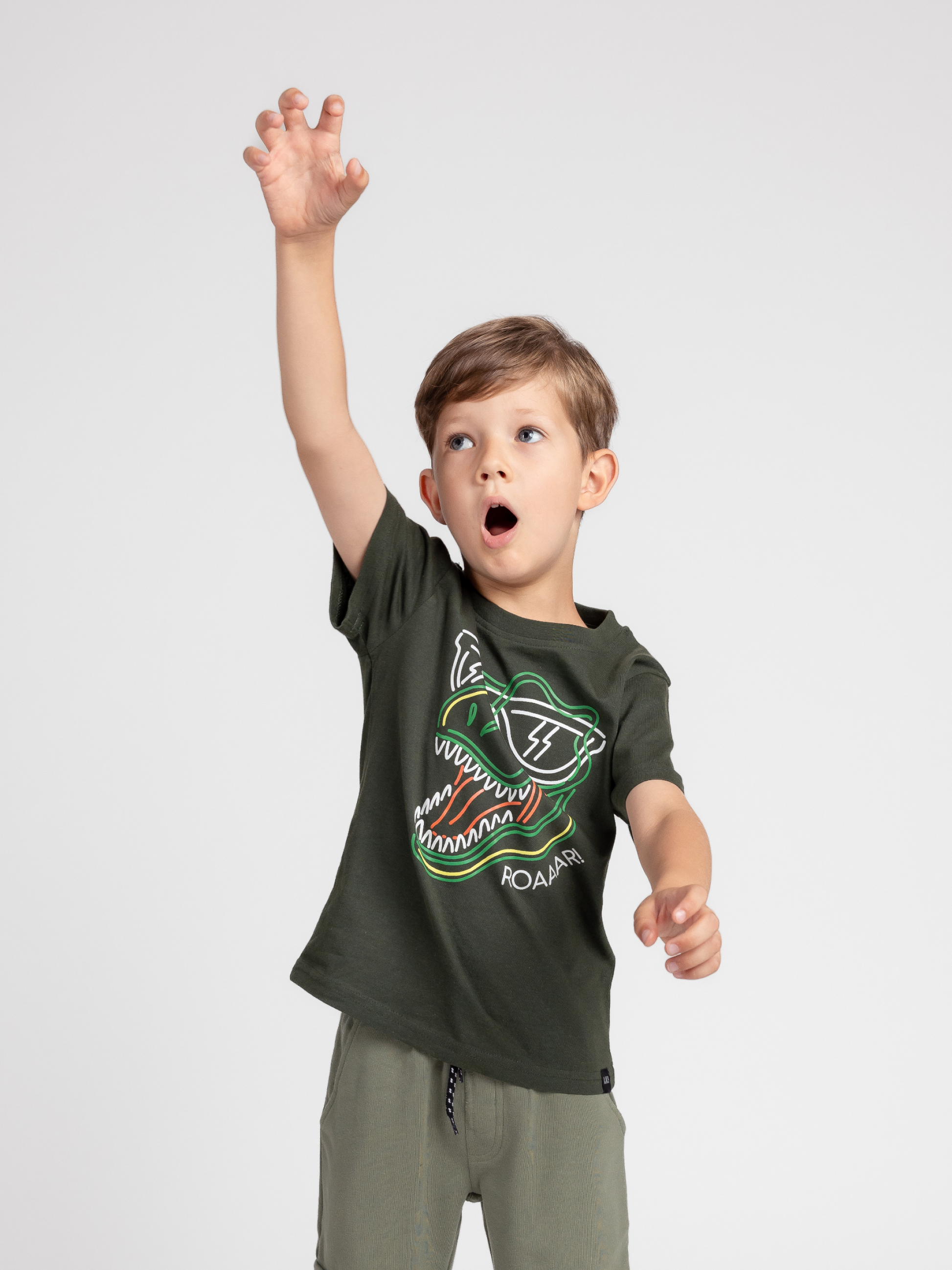 Cool Dino | Fantovska majica s kratkimi rokavi - Lucky Kiddo SI 