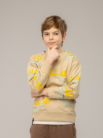Beige Brown | Fantovski pulover - Lucky Kiddo SI 
