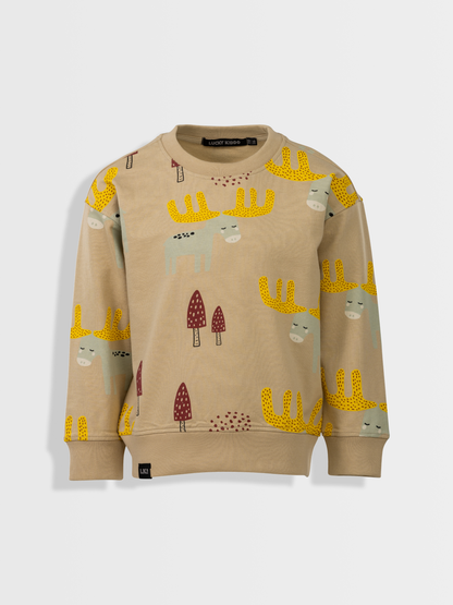 Beige Brown | Fantovski pulover - Lucky Kiddo SI 