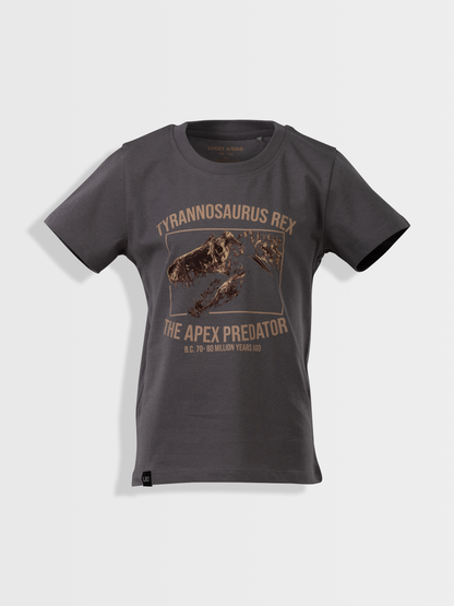 Gargoyle Grey T-Rex | Fantovska majica s kratkimi rokavi - Lucky Kiddo SI 