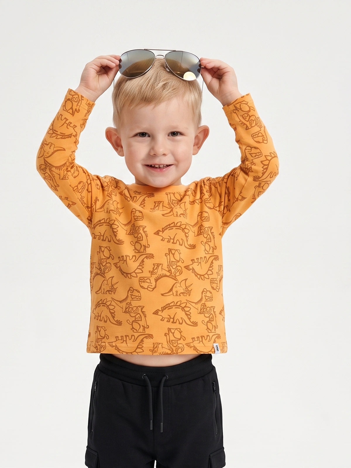 Orange Dinosaurs | Fantovska majica z dolgimi rokavi - klasičen kroj