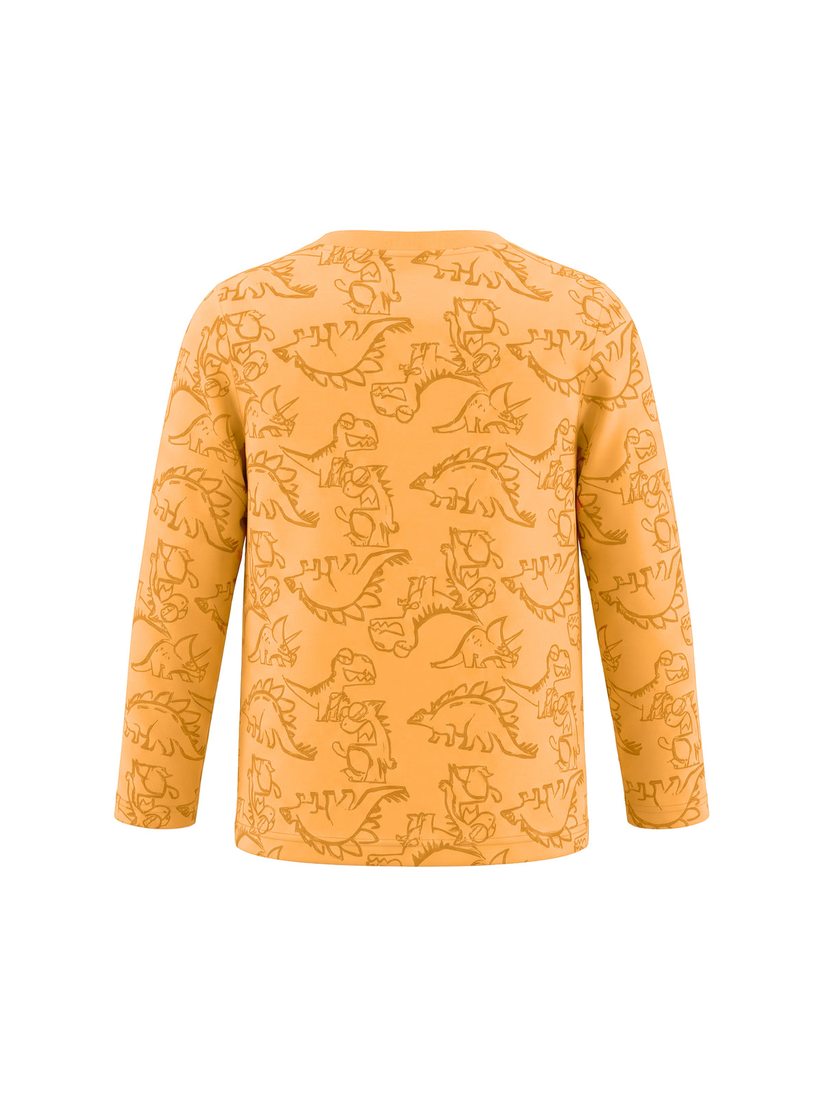 Orange Dinosaurs | Fantovska majica z dolgimi rokavi - klasičen kroj