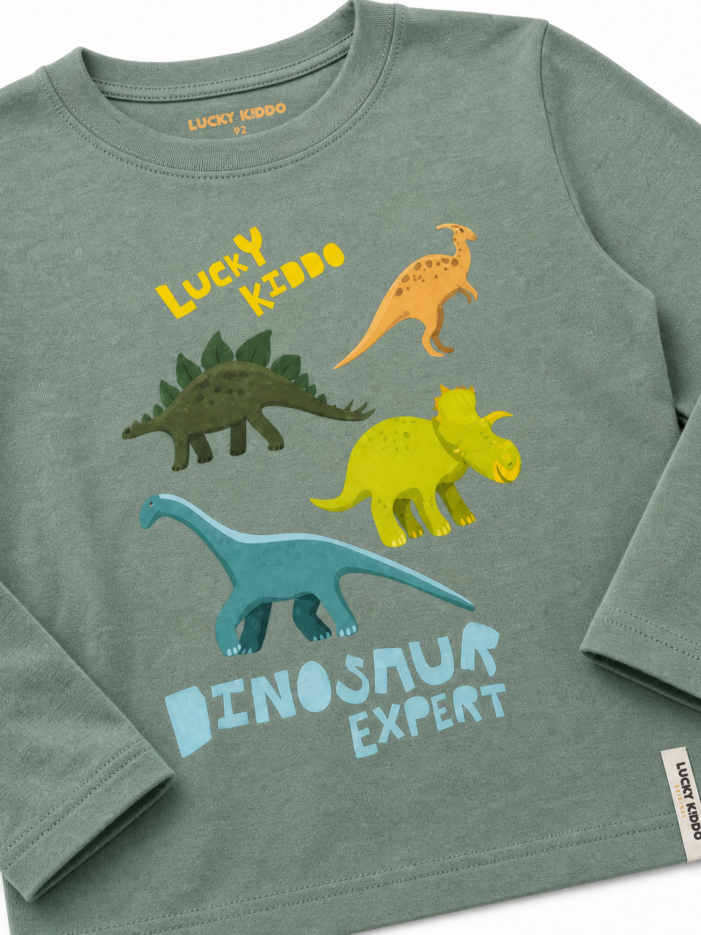 Green Dinosaur Expert | Fantovska majica z dolgimi rokavi - klasičen kroj