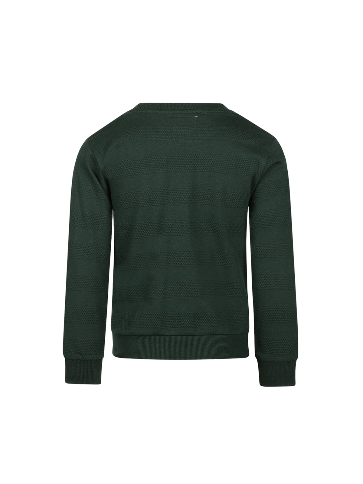 Pine Pocket | Fantovski pulover - klasičen kroj